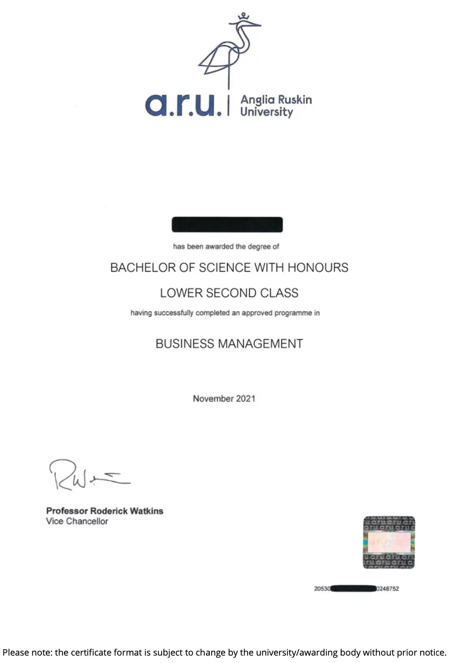 bsc-business-management-online-from-aru